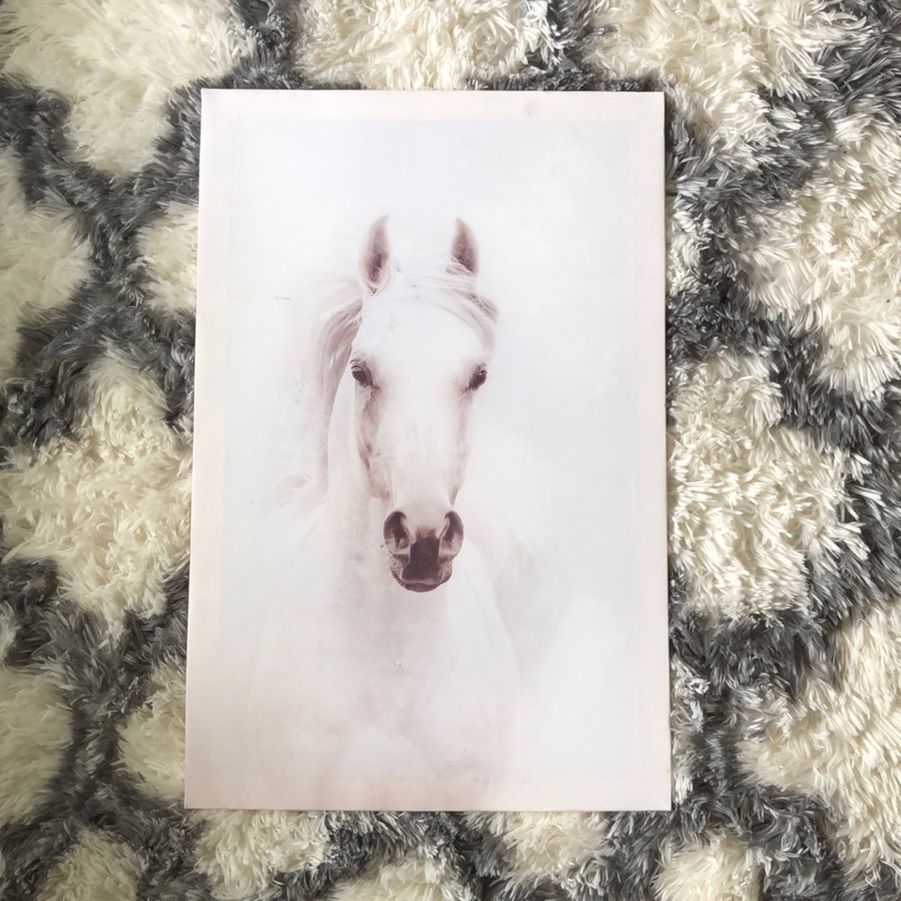 horse picture
